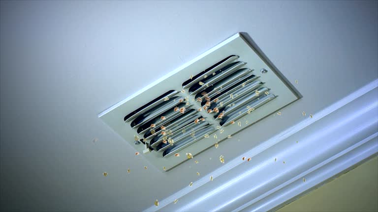 Best Emergency Air Duct Cleaning  in Waynesboro, GA