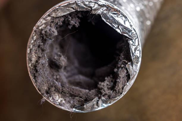 Best Affordable Duct Cleaning Services  in Waynesboro, GA