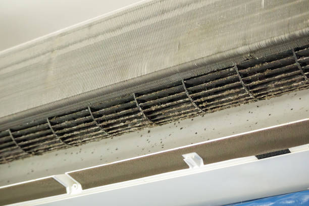 Best Best Air Duct Cleaning Company  in Waynesboro, GA